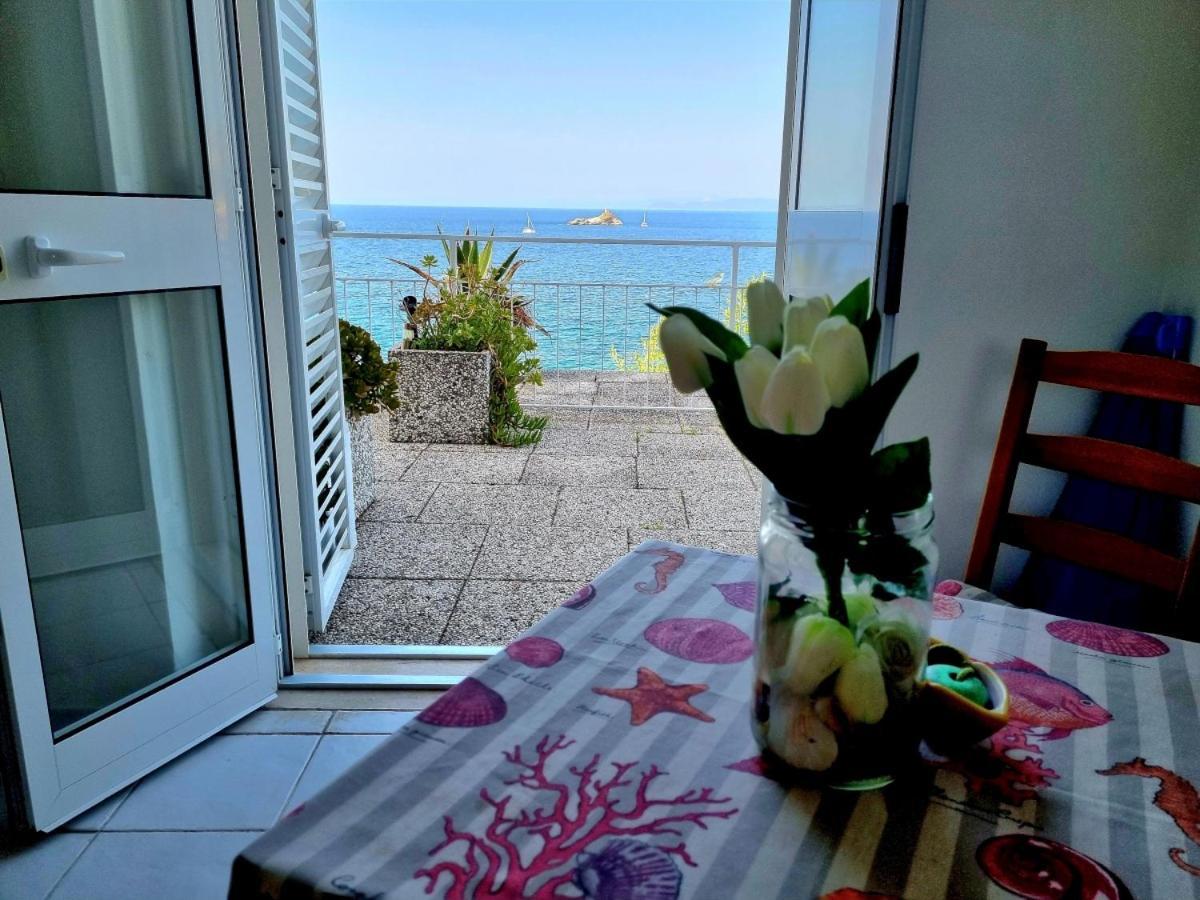 Appartamenti La Terrazza Sulle Ghiaie - Goelba ポルトフェッラーイオ 部屋 写真